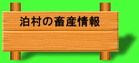̒{Y